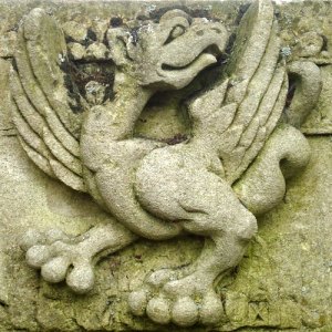wyvern (relief carving)