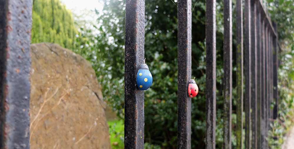 ladybird magnets on iron railings