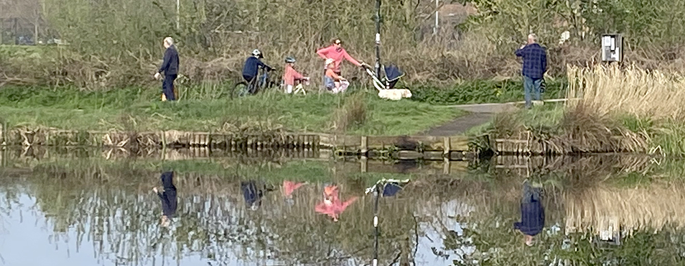 Group of people reflected in pond