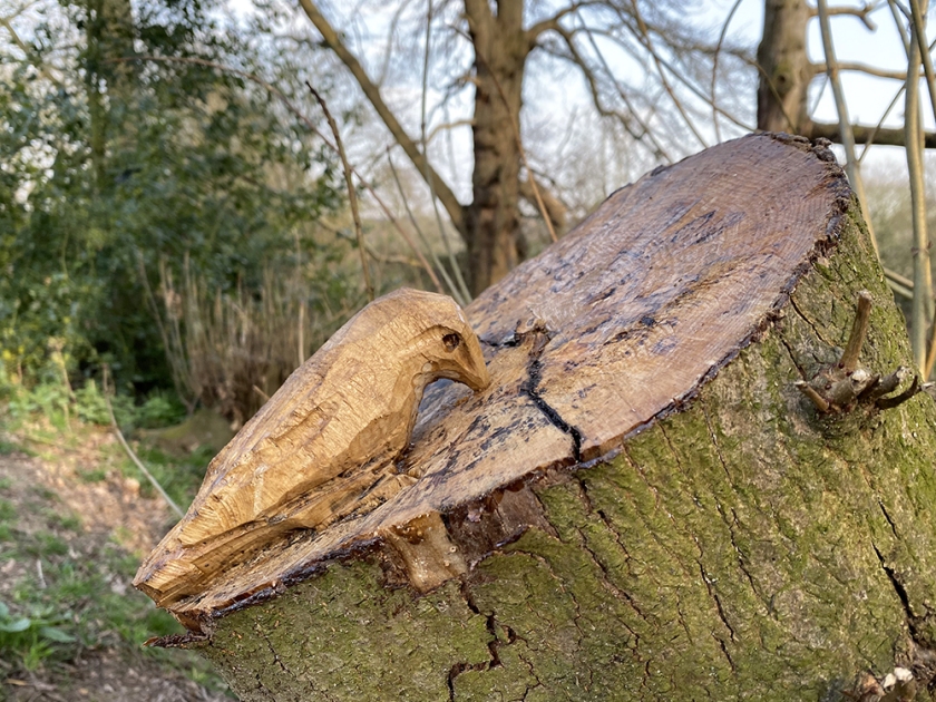 woodpecker tree carving